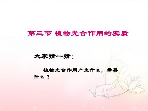 苏教版生物七年级上册3.6.3《植物光合作用的实质》课件2