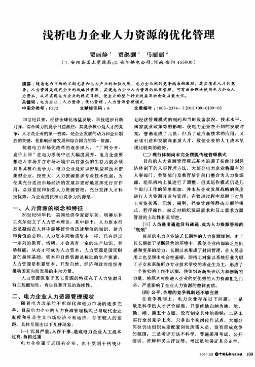 浅析电力企业人力资源的优化管理