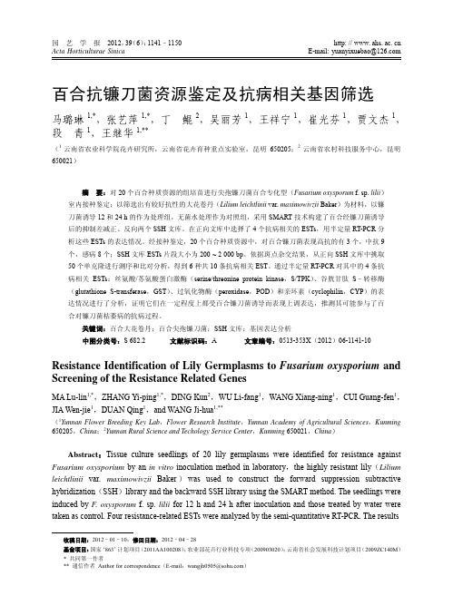 百合抗镰刀菌资源鉴定及抗病相关基因筛选_马璐琳