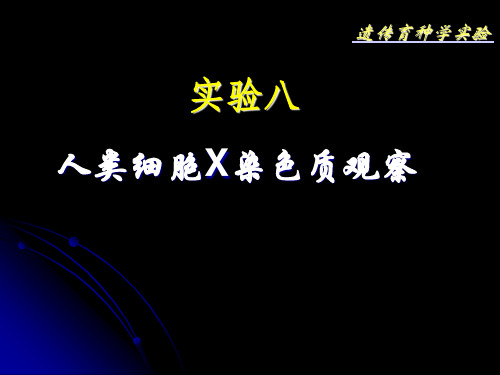 8 实验八 人的X染色质小体观察
