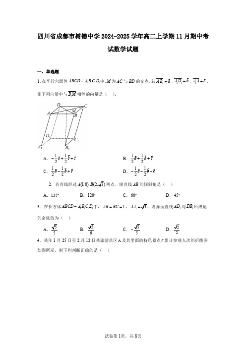 四川省成都市树德中学2024-2025学年高二上学期11月期中考试数学试题