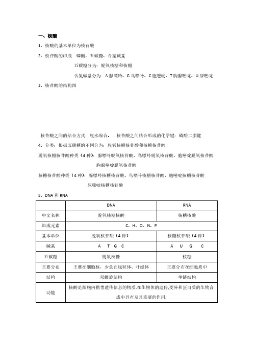 核酸的笔记