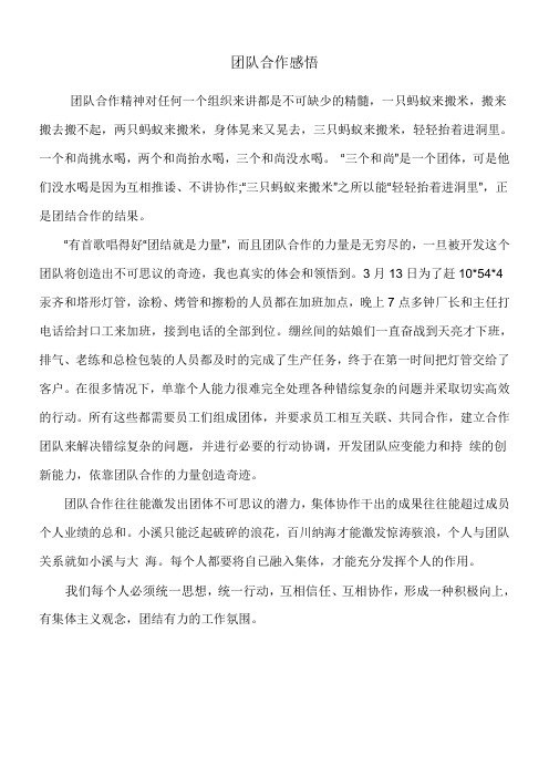 团队合作感悟