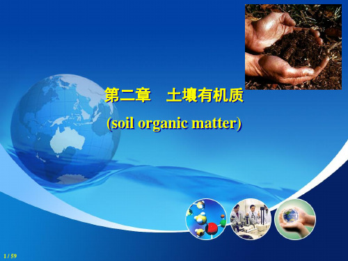 第2章 土壤有机质