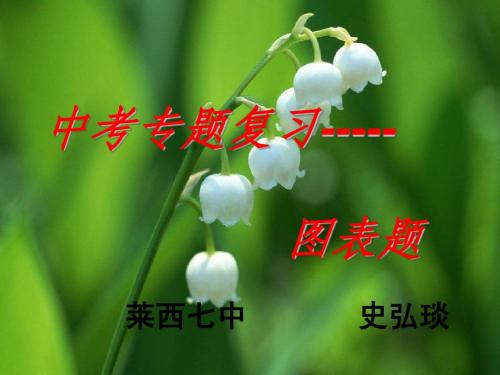 中考语文专题复习：图表题漫画徽标
