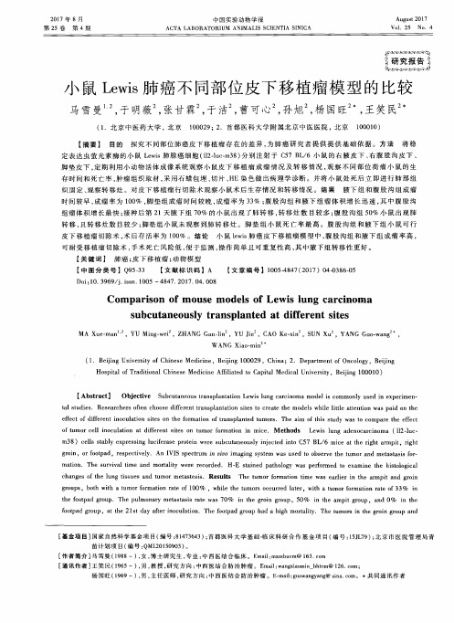 小鼠Lewis肺癌不同部位皮下移植瘤模型的比较