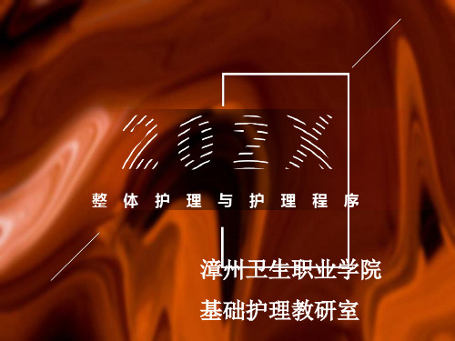 整体护理与护理程序