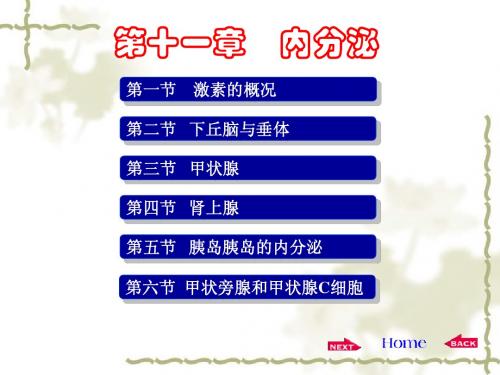 《生理学》第十一章[1]