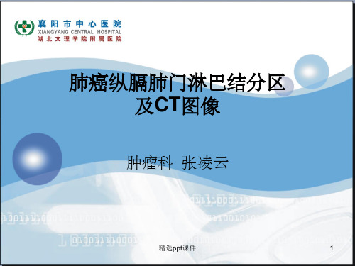 肺癌纵膈肺门淋巴结分区及CT图像ppt课件