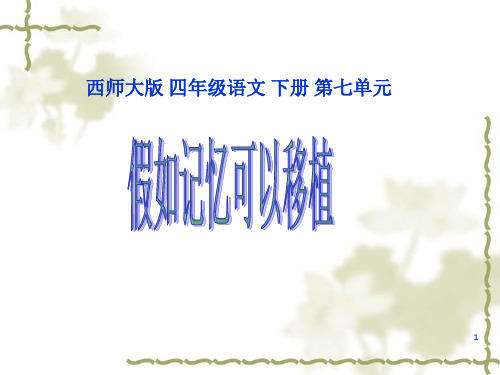 假如记忆可以移植 PPT课件