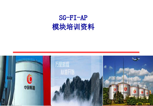 中航油SAP实施项目_培训资料_SG-FI  AP 00