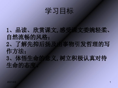 语文七年级上册《短文两篇》优秀课件：45页