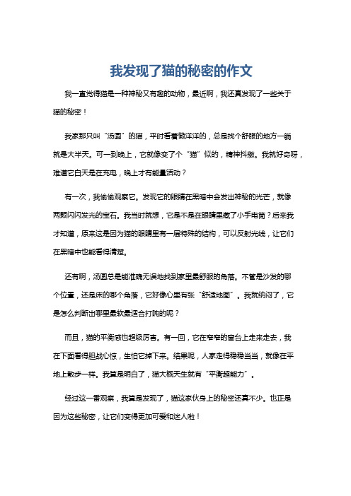 我发现了猫的秘密的作文