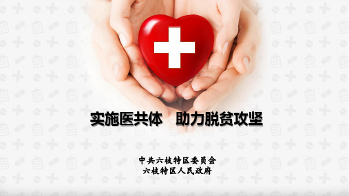 医共体ppt