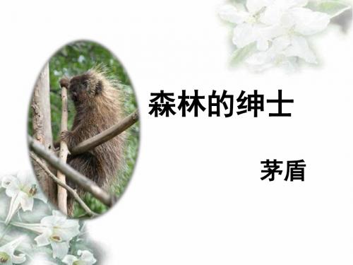 《森林中的绅士》课件2-优质公开课-鲁教六下精品