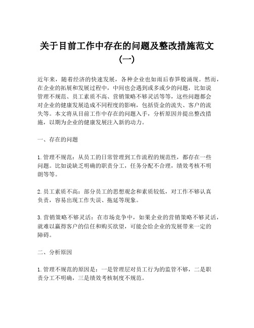 关于目前工作中存在的问题及整改措施范文 (一)