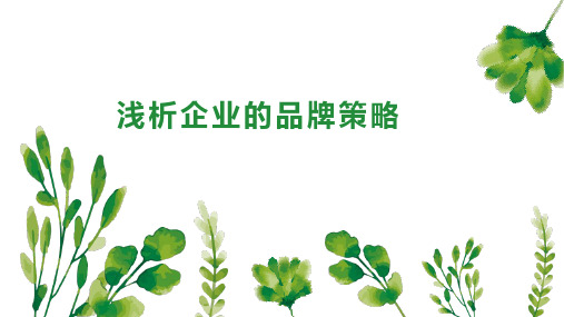 浅析企业的品牌策略