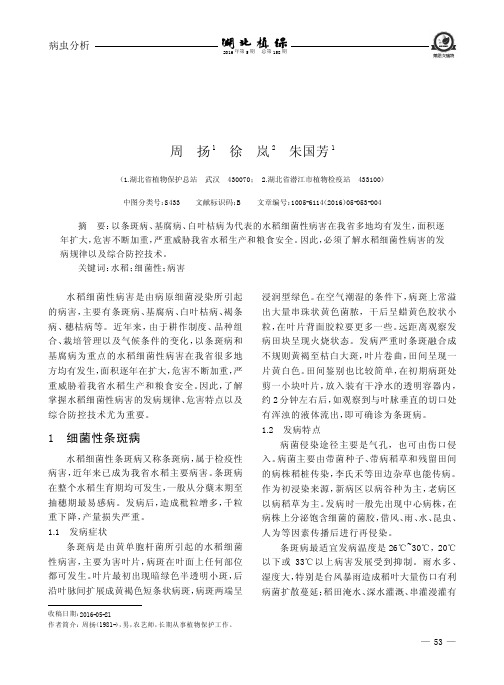 水稻细菌性病害发生特点及防控技术