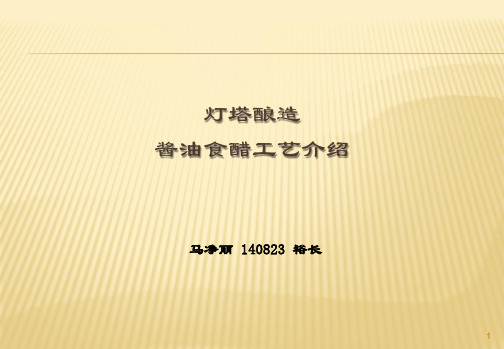 灯塔酱油食醋工艺介绍_马净丽_140823