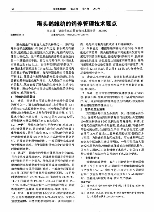 狮头鹅雏鹅的饲养管理技术要点