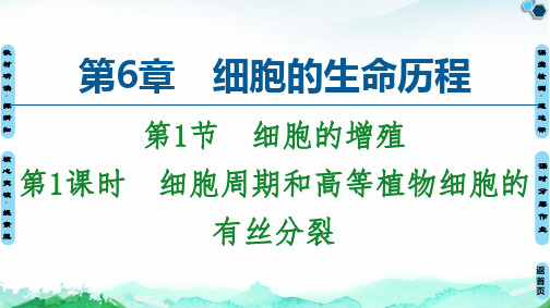 【新教材】细胞周期和高等植物细胞的有丝分裂 课件 【新教材】人教版高中生物必修第一册