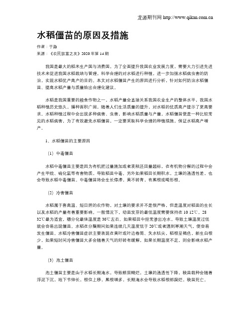 水稻僵苗的原因及措施