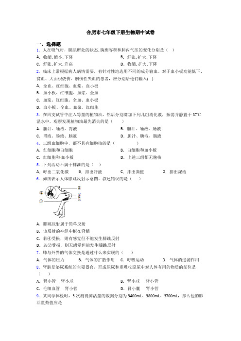 合肥市七年级下册生物期中试卷