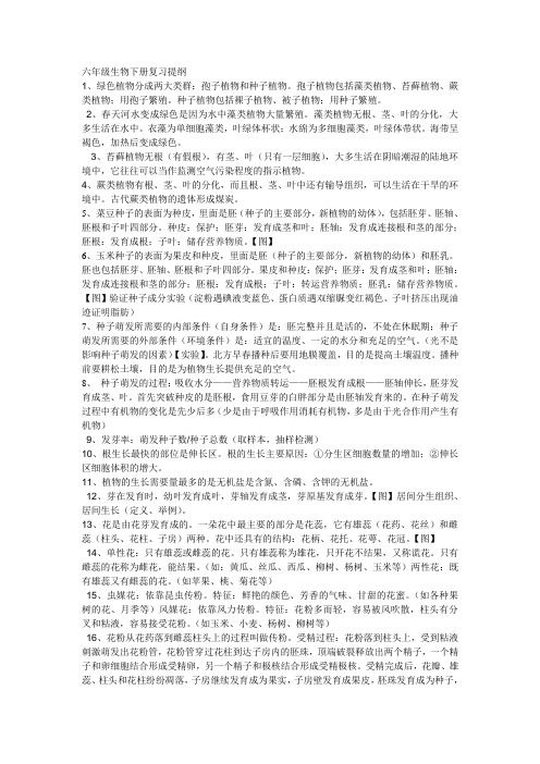六年级生物下册复习提纲