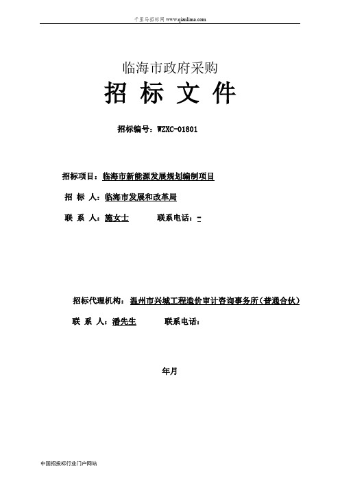 新能源发展规划编制项目的公开招投标书范本