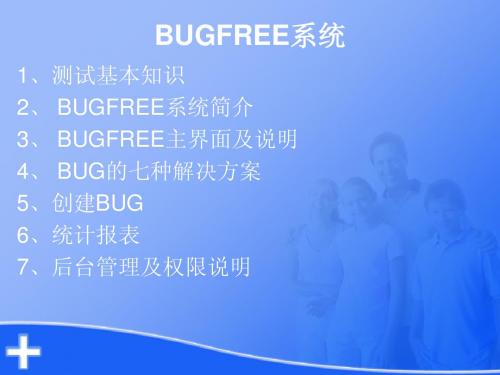 BUGFREE系统