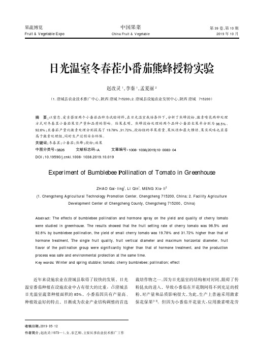 日光温室冬春茬小番茄熊蜂授粉实验
