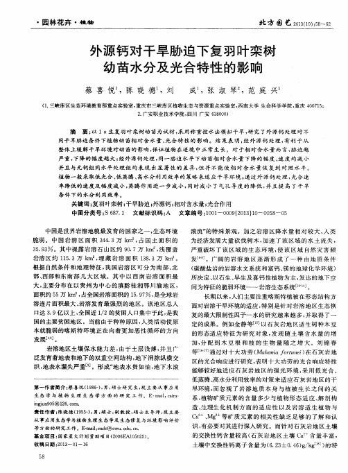 外源钙对干旱胁迫下复羽叶栾树幼苗水分及光合特性的影响