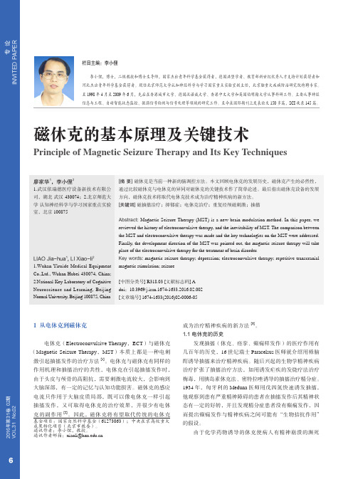 磁休克的基本原理及关键技术_廖家华