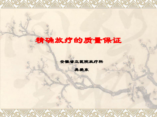 精确放疗的质量保证(08-06)