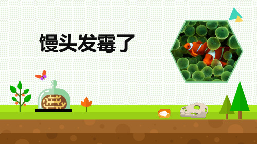小学科学《馒头发霉了》优质课件