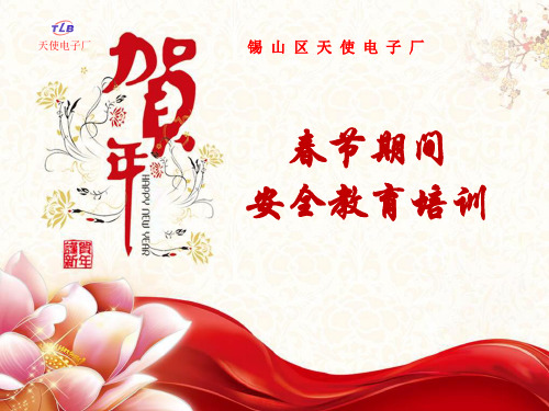春节期间安全教育培训教材PPT课件
