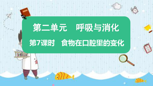 最新教科版四年级科学上册《第二单元  第7课时 食物在口腔里的变化》优质教学课件
