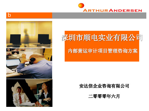 安达信—深圳顺电实业内部营运审计项目管理咨询方案