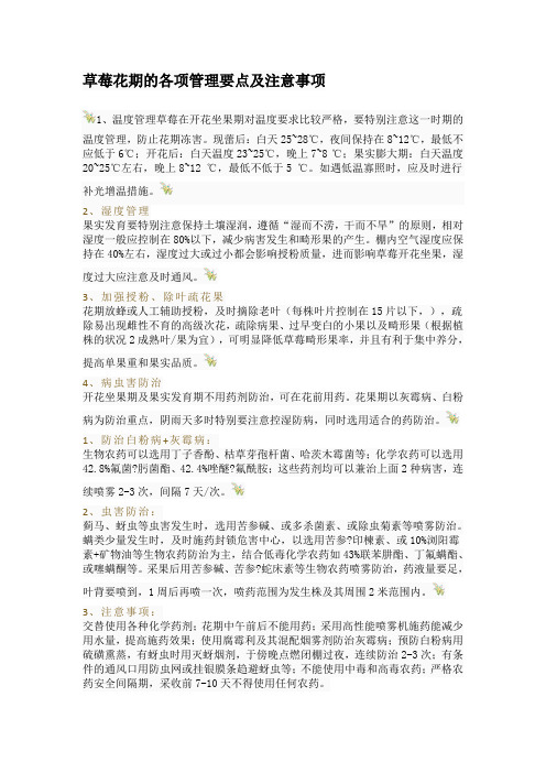 草莓花期的各项管理要点及注意事项