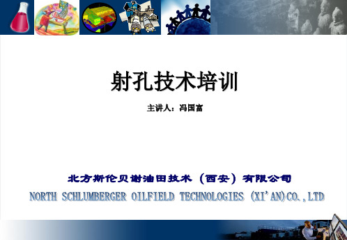 2013射孔技术