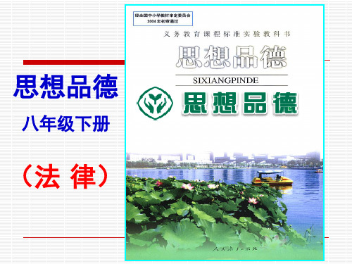 第一课时 人民当家作主的国家PPT课件
