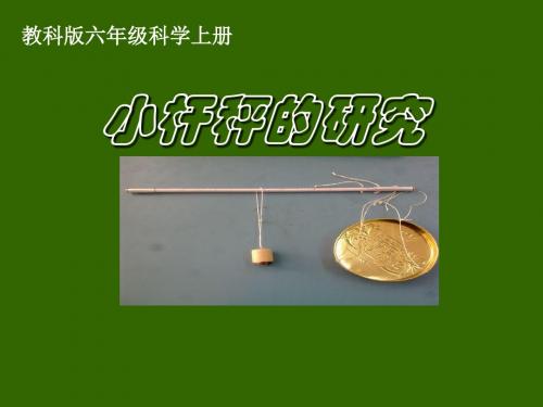 小杆秤的研究