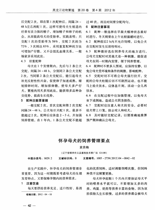 怀孕母犬的饲养管理要点