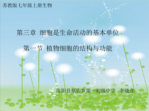 第一节植物细胞的结构和功能