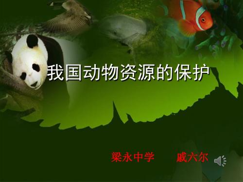 我国动物资源的保护(说课稿)