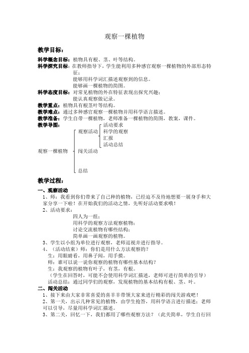教科2017课标版科学一年级上册《植物 2 观察一棵植物》优质课教学设计_21