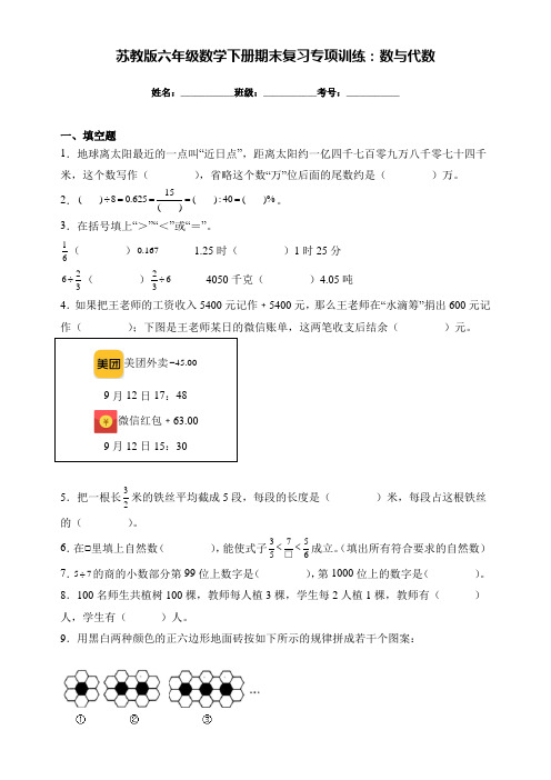 (精选)苏教版六年级数学下册期末复习专项训练：数与代数(附答案)