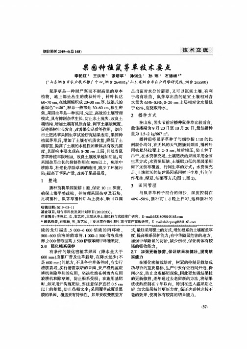 果园种植鼠茅草技术要点