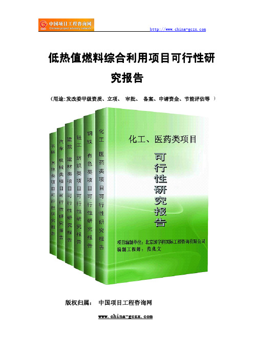 低热值燃料综合利用项目可行性研究报告(专业经典案例)