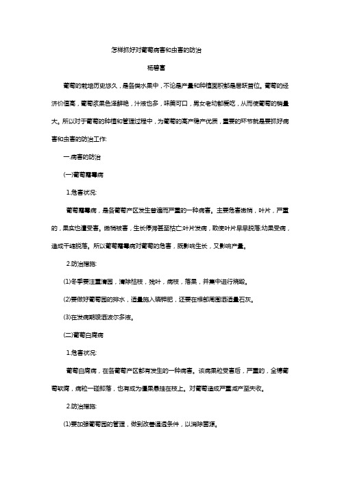 怎样抓好对葡萄病害和虫害的防治